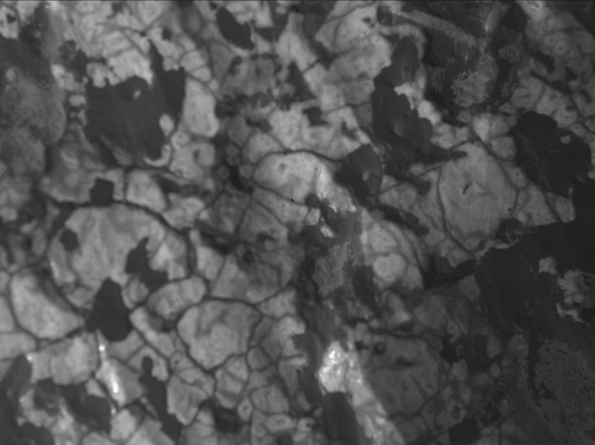 This image was taken by SHERLOC_WATSON onboard NASA's Mars rover Perseverance on Sol 1964