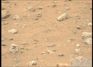 View image taken on Mars, Mars Perseverance Sol 1964: Left Mastcam-Z Camera