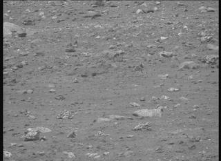View image taken on Mars, Mars Perseverance Sol 1964: Right Mastcam-Z Camera