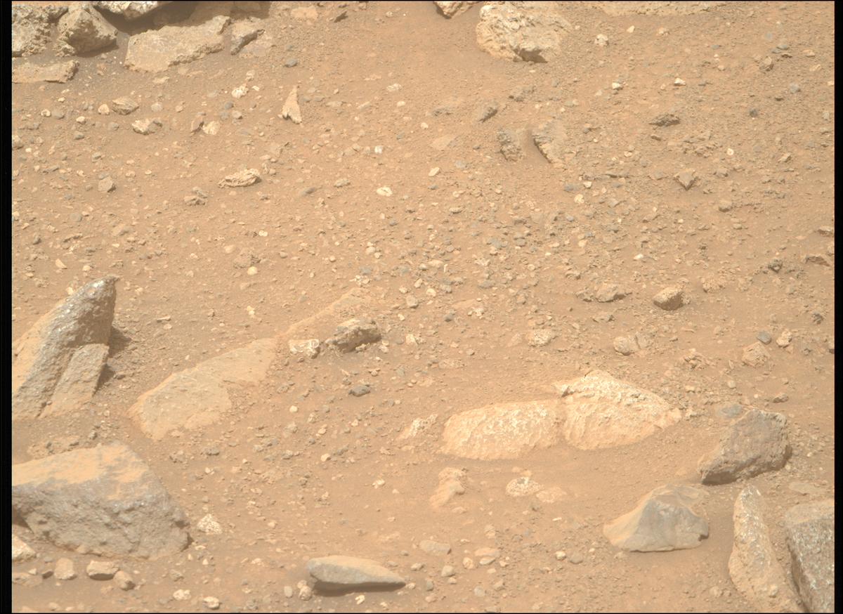 This image was taken by MCZ_RIGHT onboard NASA's Mars rover Perseverance on Sol 1964