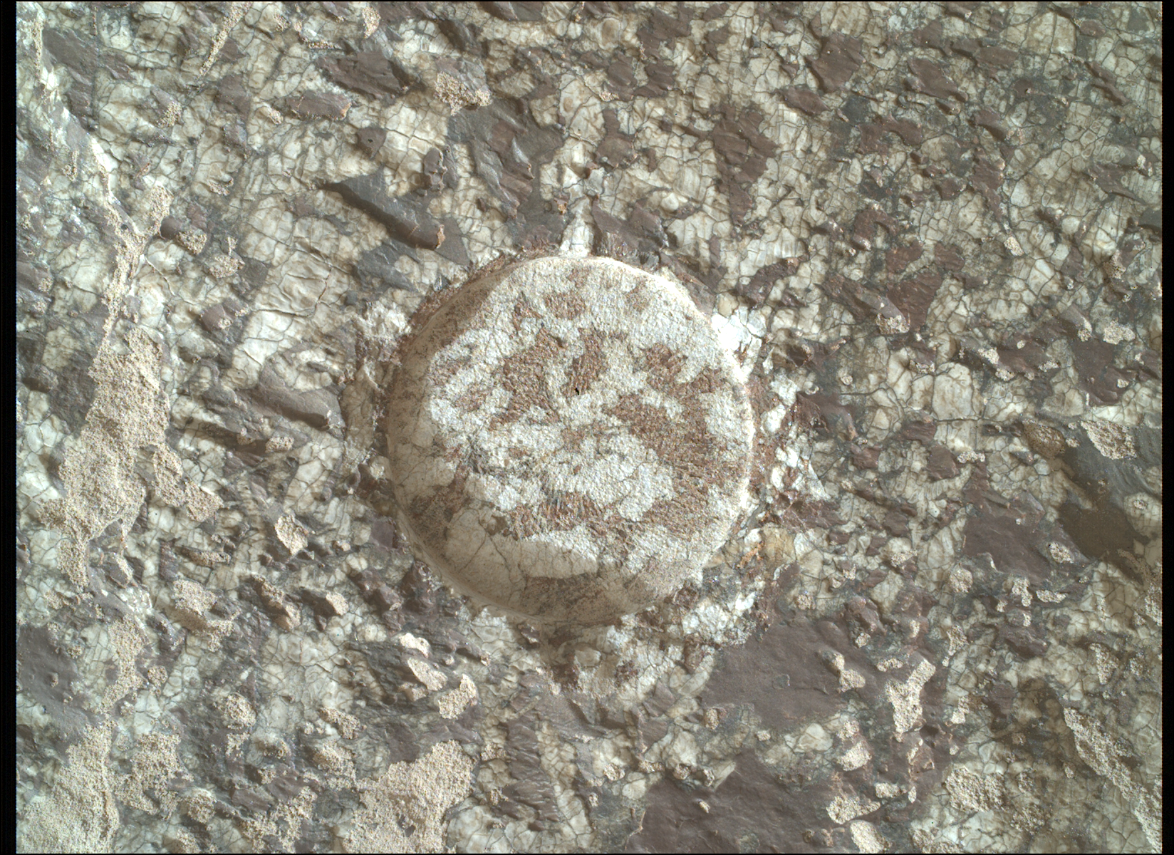New abrasion patch (#62) - 1 Sep. 2026