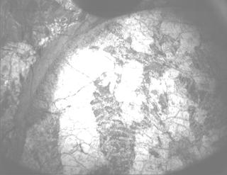View image taken on Mars, Mars Perseverance Sol 1970: PIXL Camera 