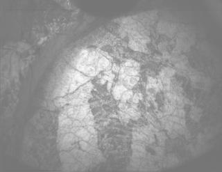 View image taken on Mars, Mars Perseverance Sol 1970: PIXL Camera 