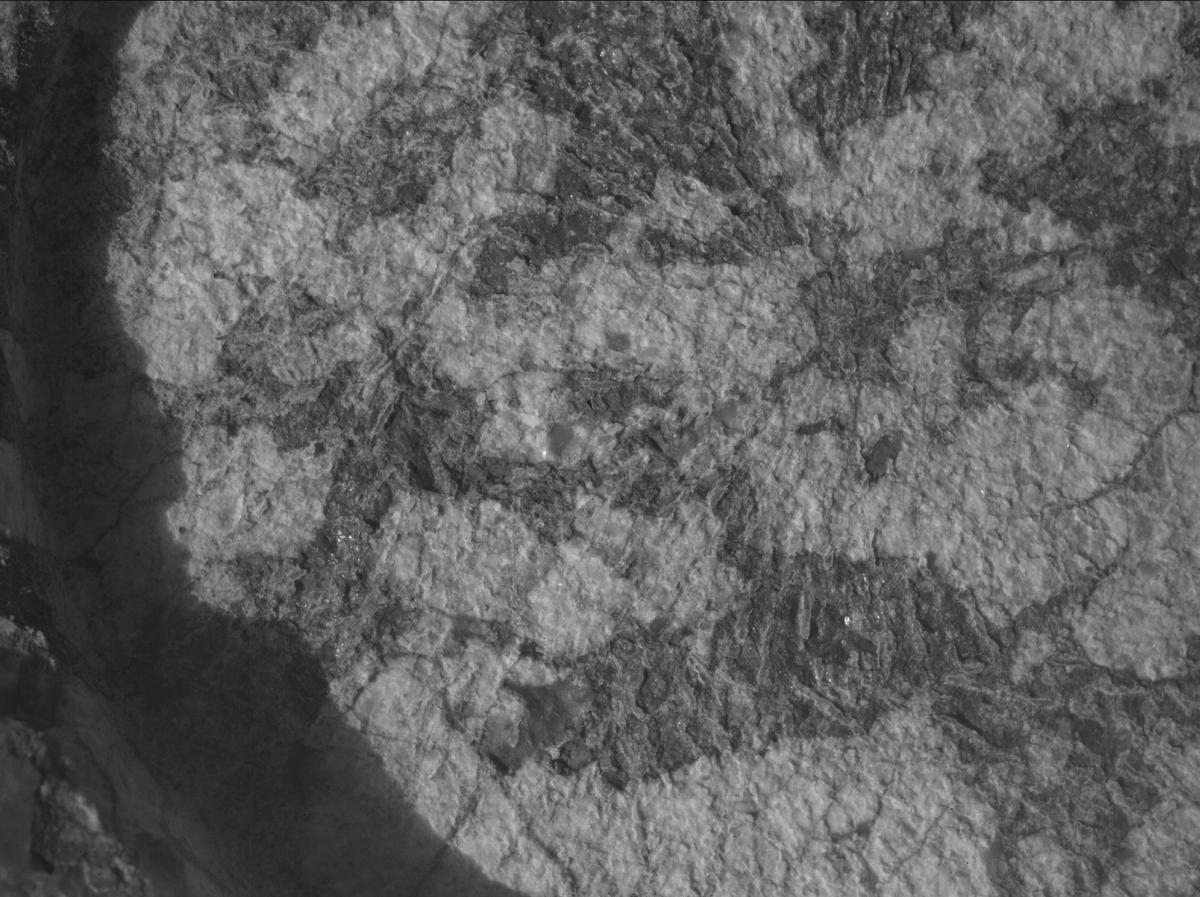 This image was taken by SHERLOC_WATSON onboard NASA's Mars rover Perseverance on Sol 1970