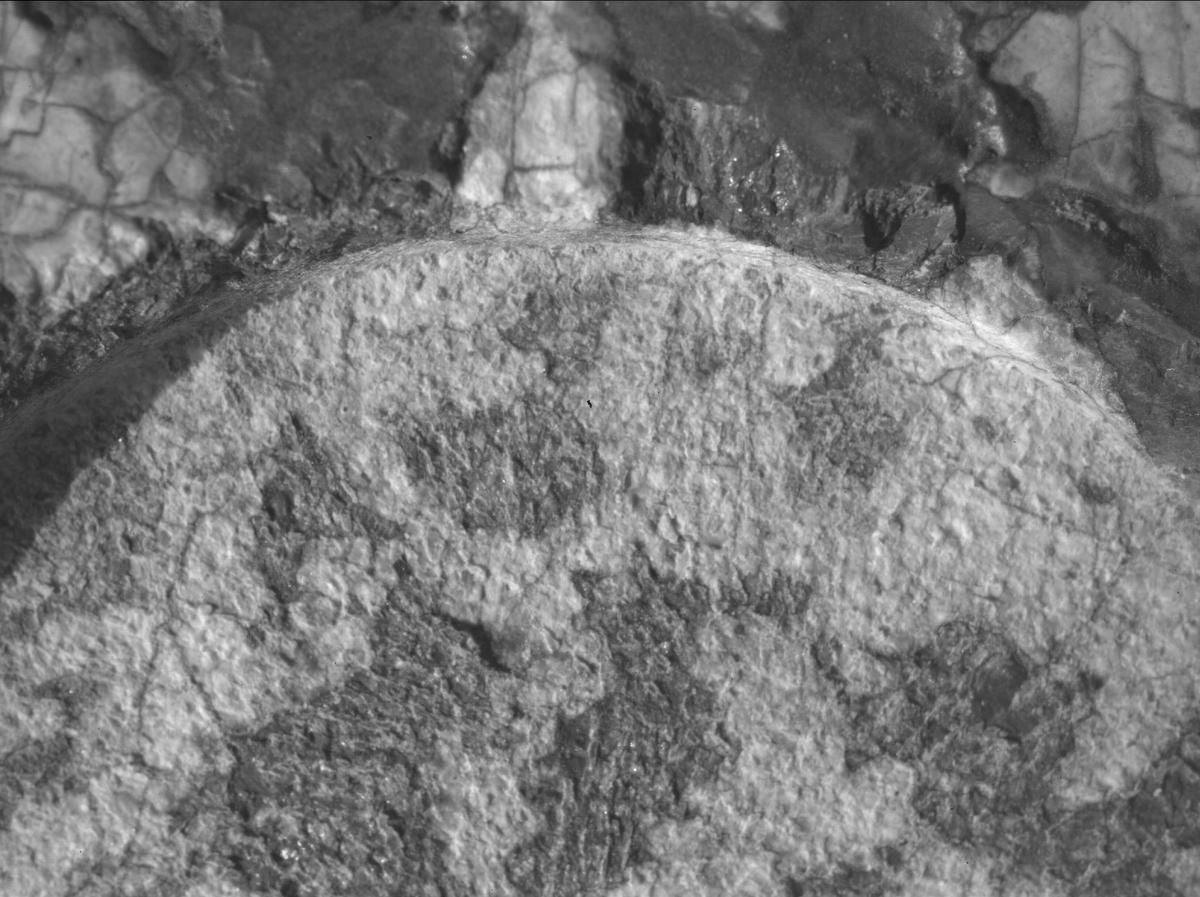 This image was taken by SHERLOC_WATSON onboard NASA's Mars rover Perseverance on Sol 1970