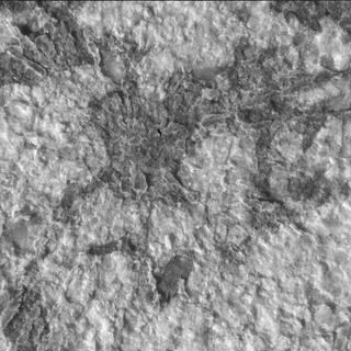 View image taken on Mars, Mars Perseverance Sol 1970: WATSON Camera 
