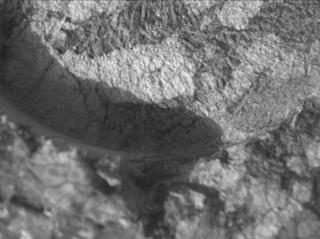 View image taken on Mars, Mars Perseverance Sol 1970: WATSON Camera 