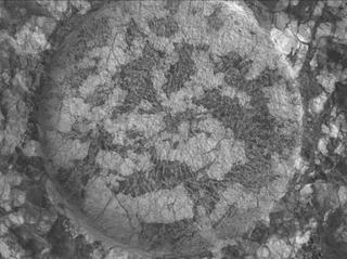 View image taken on Mars, Mars Perseverance Sol 1970: WATSON Camera 