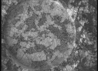 View image taken on Mars, Mars Perseverance Sol 1970: WATSON Camera 