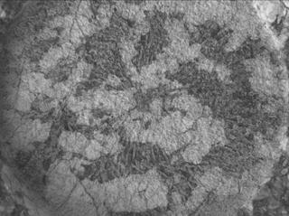 View image taken on Mars, Mars Perseverance Sol 1970: WATSON Camera 