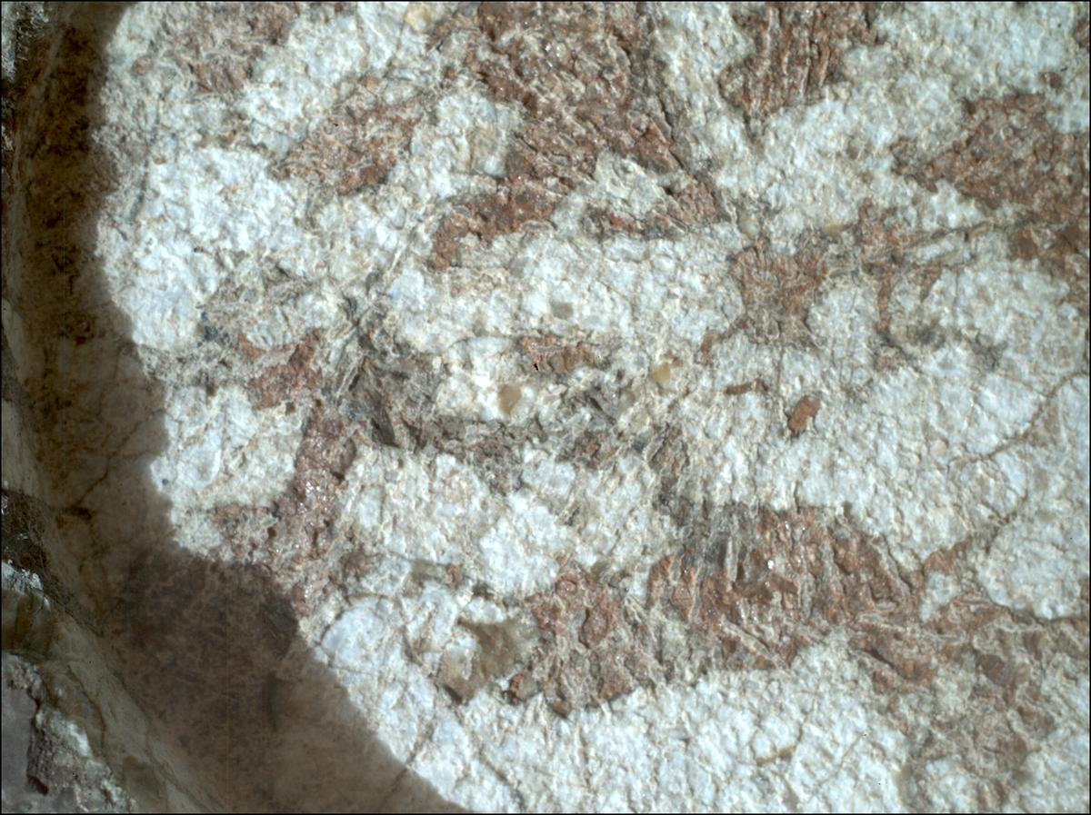 This image was taken by SHERLOC_WATSON onboard NASA's Mars rover Perseverance on Sol 1970