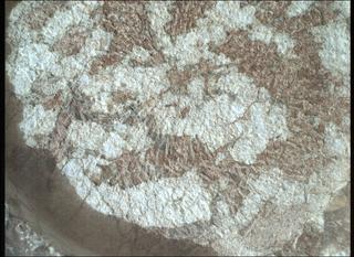 View image taken on Mars, Mars Perseverance Sol 1970: WATSON Camera 