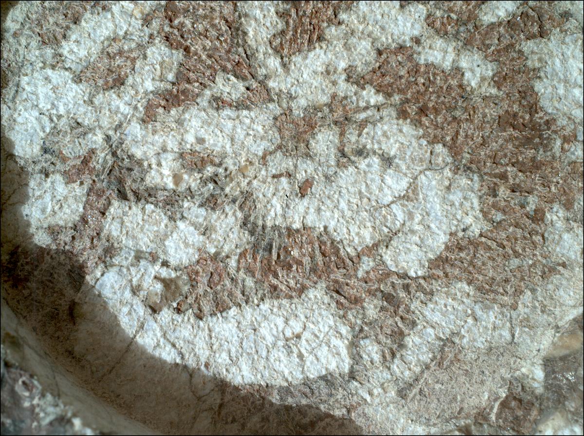 This image was taken by SHERLOC_WATSON onboard NASA's Mars rover Perseverance on Sol 1970