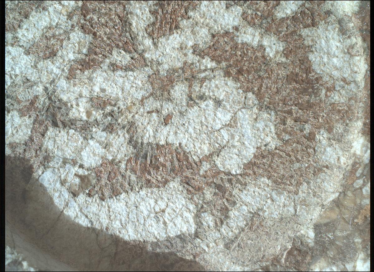 This image was taken by SHERLOC_WATSON onboard NASA's Mars rover Perseverance on Sol 1970