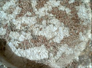View image taken on Mars, Mars Perseverance Sol 1970: WATSON Camera 