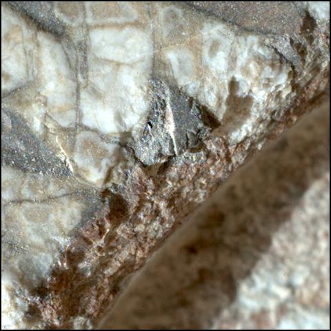 This image was taken by SHERLOC_WATSON onboard NASA's Mars rover Perseverance on Sol 1970