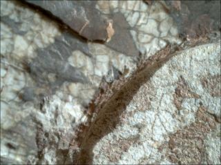 View image taken on Mars, Mars Perseverance Sol 1970: WATSON Camera 