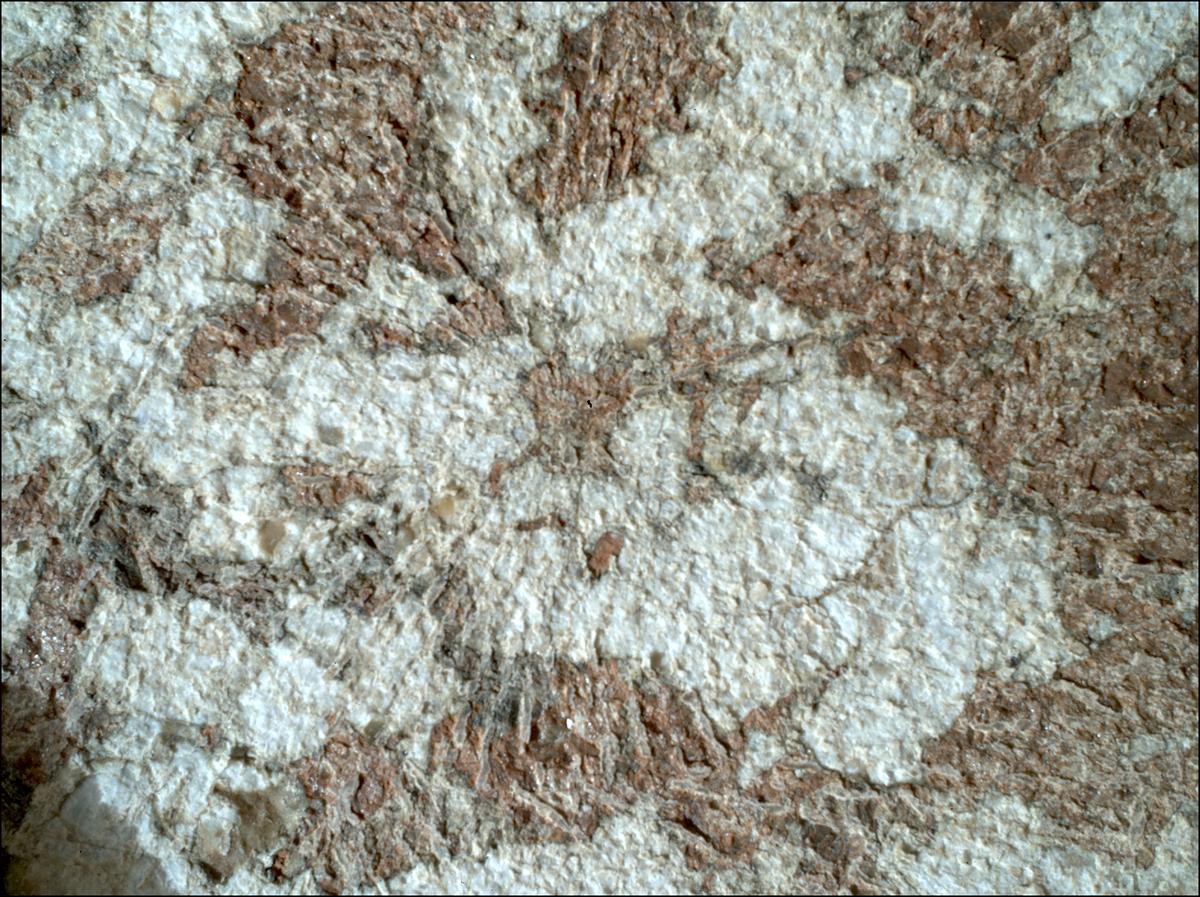 This image was taken by SHERLOC_WATSON onboard NASA's Mars rover Perseverance on Sol 1970