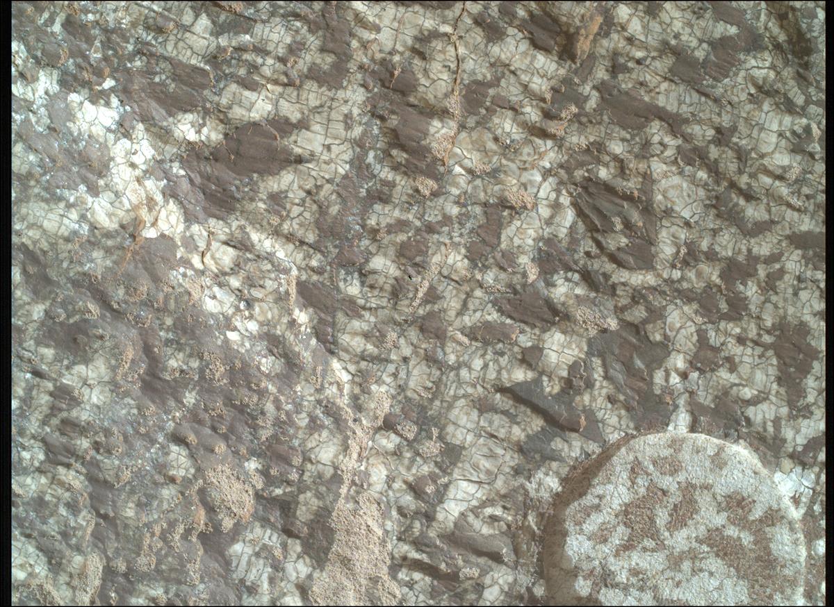 This image was taken by SHERLOC_WATSON onboard NASA's Mars rover Perseverance on Sol 1970