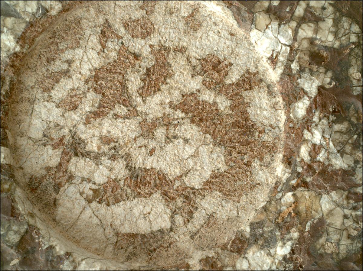This image was taken by SHERLOC_WATSON onboard NASA's Mars rover Perseverance on Sol 1970