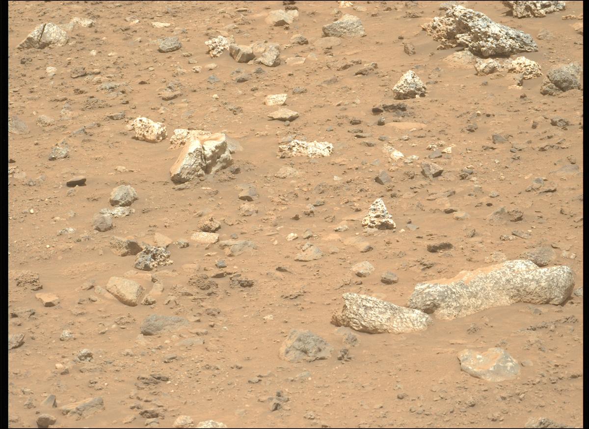 This image was taken by MCZ_LEFT onboard NASA's Mars rover Perseverance on Sol 1970