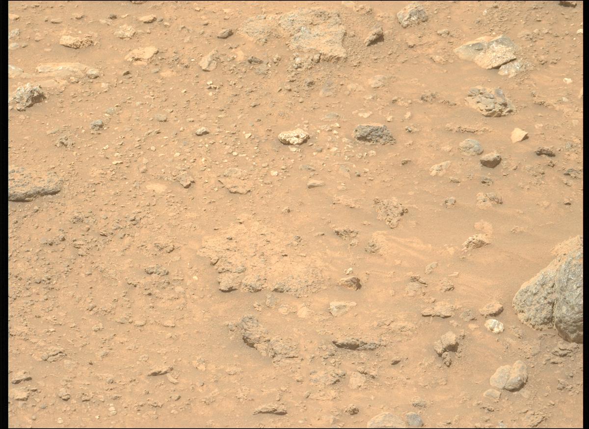 This image was taken by MCZ_LEFT onboard NASA's Mars rover Perseverance on Sol 1970
