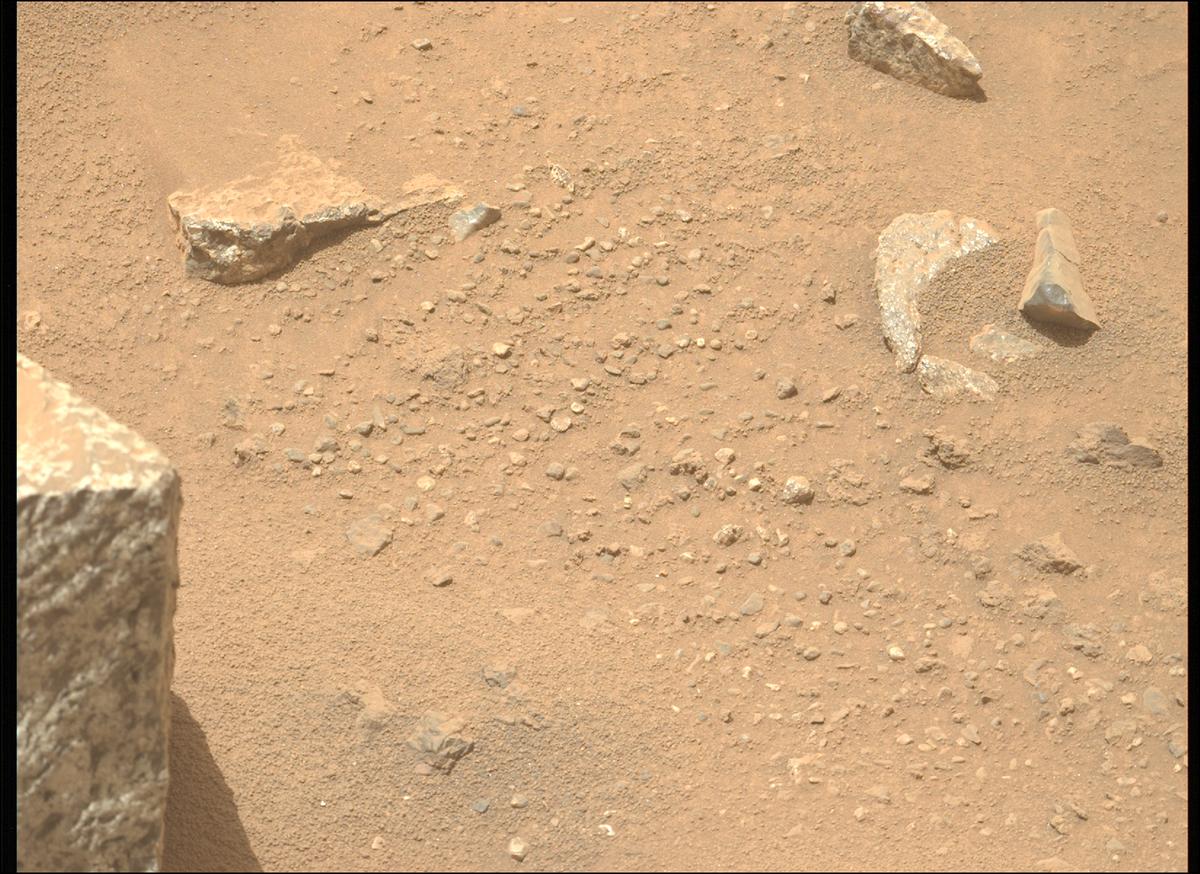 This image was taken by MCZ_LEFT onboard NASA's Mars rover Perseverance on Sol 1970