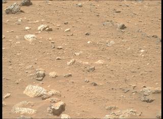 View image taken on Mars, Mars Perseverance Sol 1970: Right Mastcam-Z Camera
