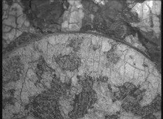 View image taken on Mars, Mars Perseverance Sol 1971: WATSON Camera 