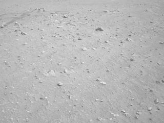 View image taken on Mars, Mars Perseverance Sol 1979: Right Navigation Camera (Navcam)