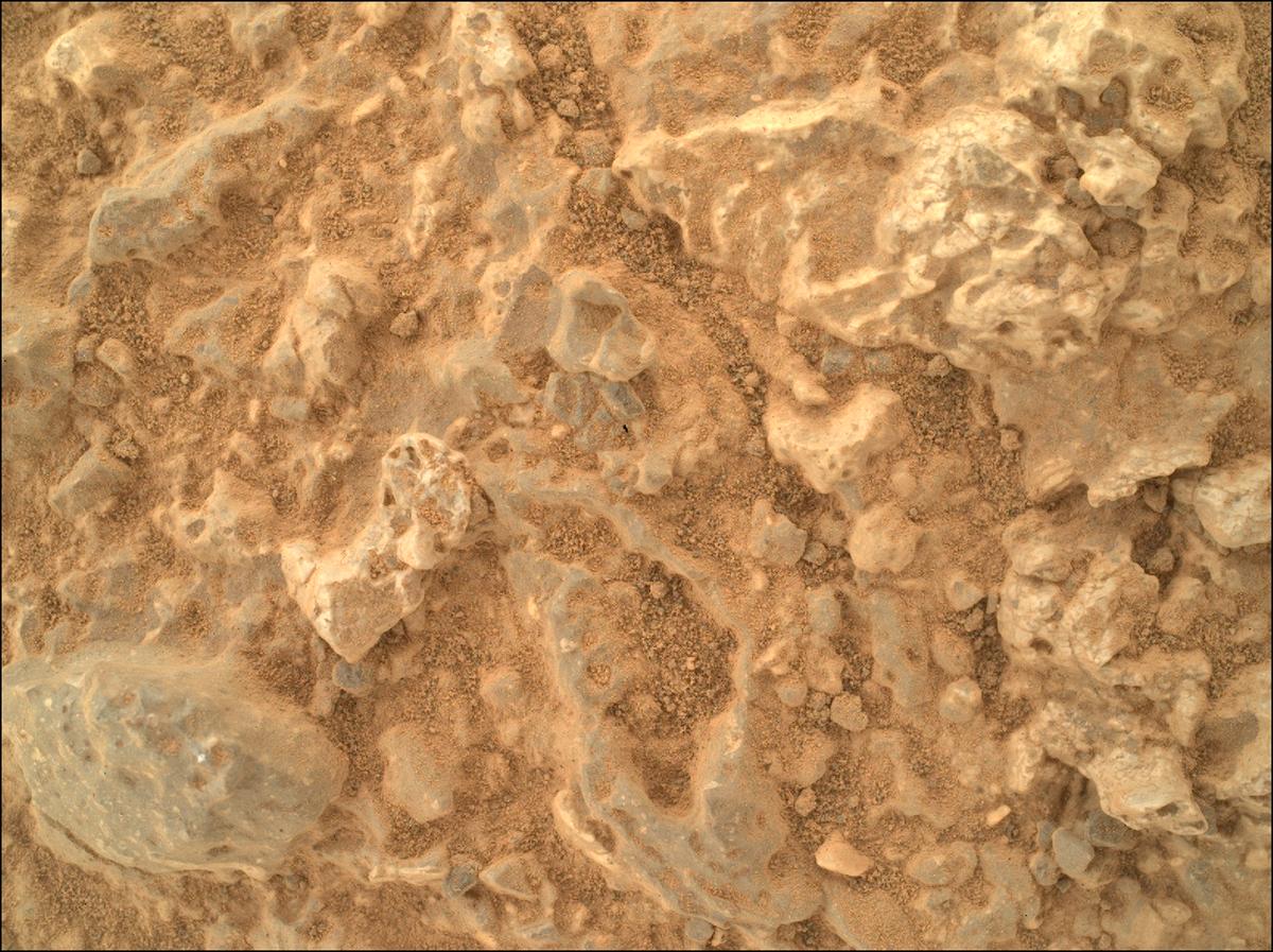 This image was taken by SHERLOC_WATSON onboard NASA's Mars rover Perseverance on Sol 1981