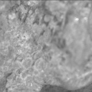 View image taken on Mars, Mars Perseverance Sol 1991: SHERLOC ACI Camera 