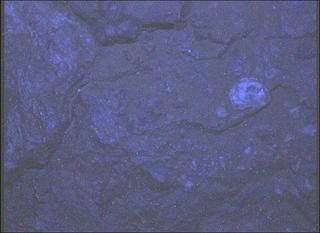 View image taken on Mars, Mars Perseverance Sol 1998: WATSON Camera 
