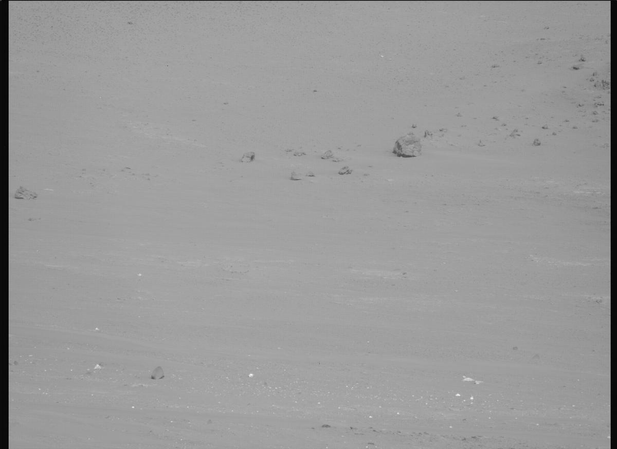 This image was taken by MCZ_LEFT onboard NASA's Mars rover Perseverance on Sol 2006