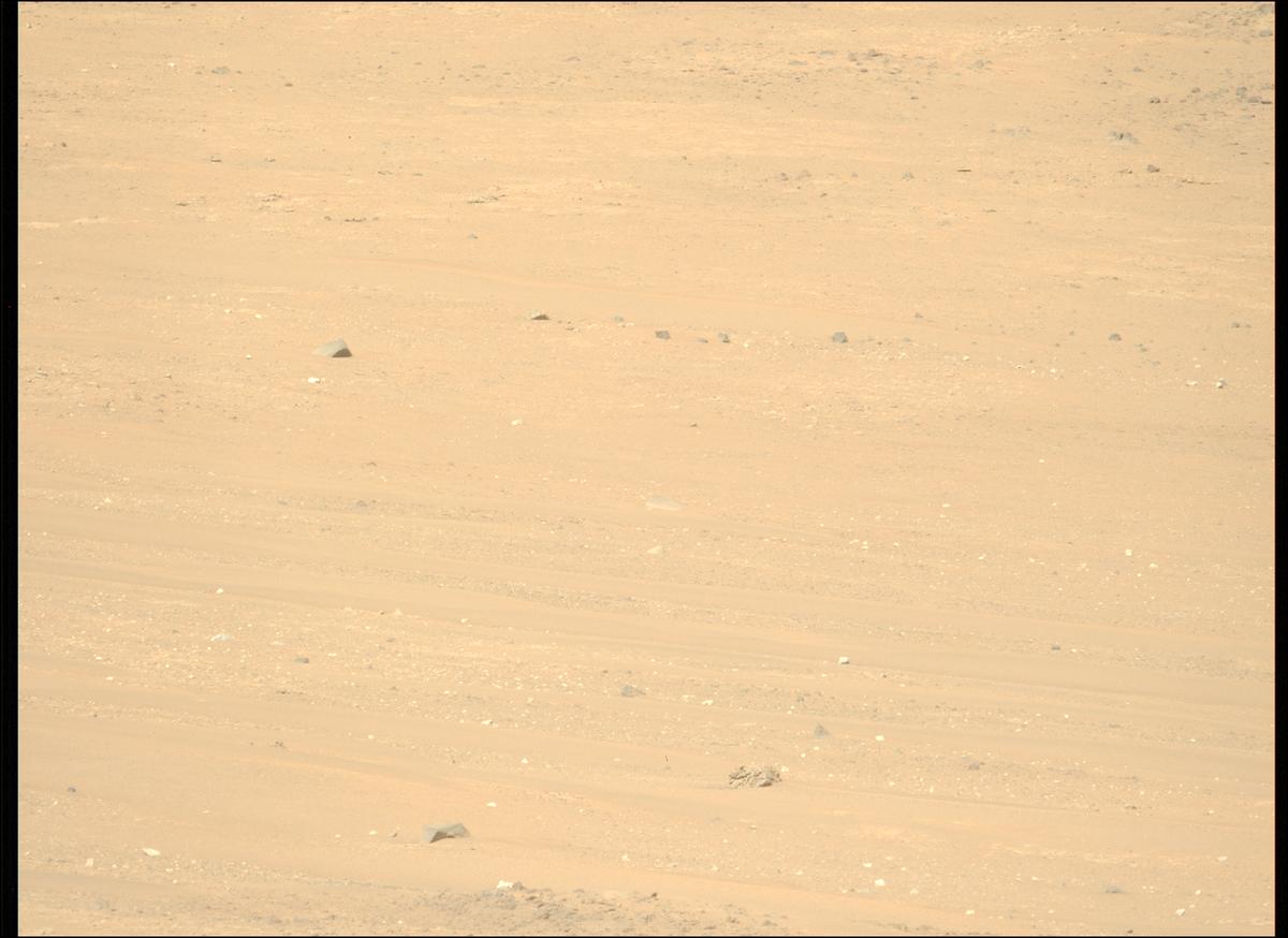 This image was taken by MCZ_LEFT onboard NASA's Mars rover Perseverance on Sol 2006