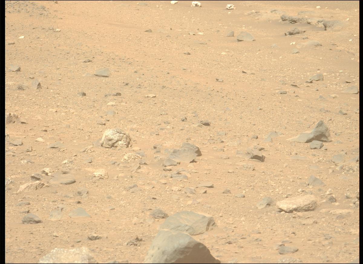 This image was taken by MCZ_LEFT onboard NASA's Mars rover Perseverance on Sol 2009