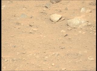 View image taken on Mars, Mars Perseverance Sol 2009: Left Mastcam-Z Camera