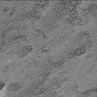 View image taken on Mars, Mars Perseverance Sol 2011: WATSON Camera 