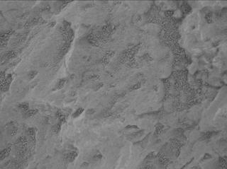 View image taken on Mars, Mars Perseverance Sol 2011: WATSON Camera 
