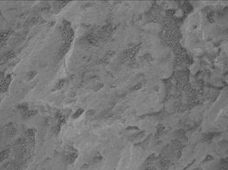 View image taken on Mars, Mars Perseverance Sol 2011: WATSON Camera 