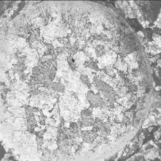 View image taken on Mars, Mars Perseverance Sol 2011: WATSON Camera 