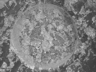 View image taken on Mars, Mars Perseverance Sol 2011: WATSON Camera 