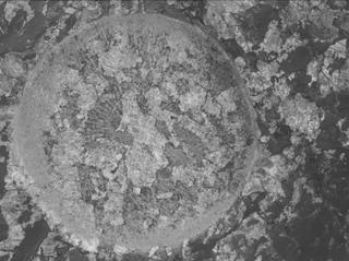 View image taken on Mars, Mars Perseverance Sol 2011: WATSON Camera 