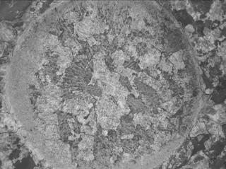 View image taken on Mars, Mars Perseverance Sol 2011: WATSON Camera 