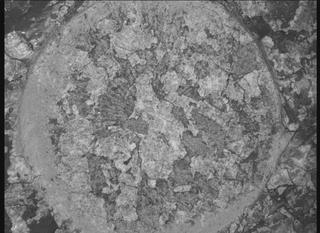 View image taken on Mars, Mars Perseverance Sol 2011: WATSON Camera 