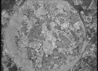 View image taken on Mars, Mars Perseverance Sol 2011: WATSON Camera 
