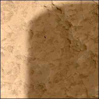 View image taken on Mars, Mars Perseverance Sol 2011: WATSON Camera 