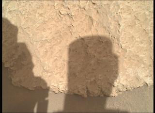View image taken on Mars, Mars Perseverance Sol 2011: WATSON Camera 