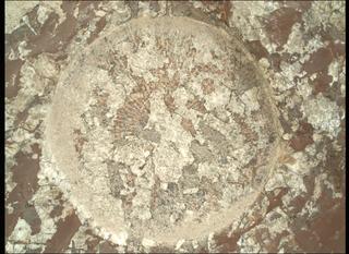 View image taken on Mars, Mars Perseverance Sol 2011: WATSON Camera 