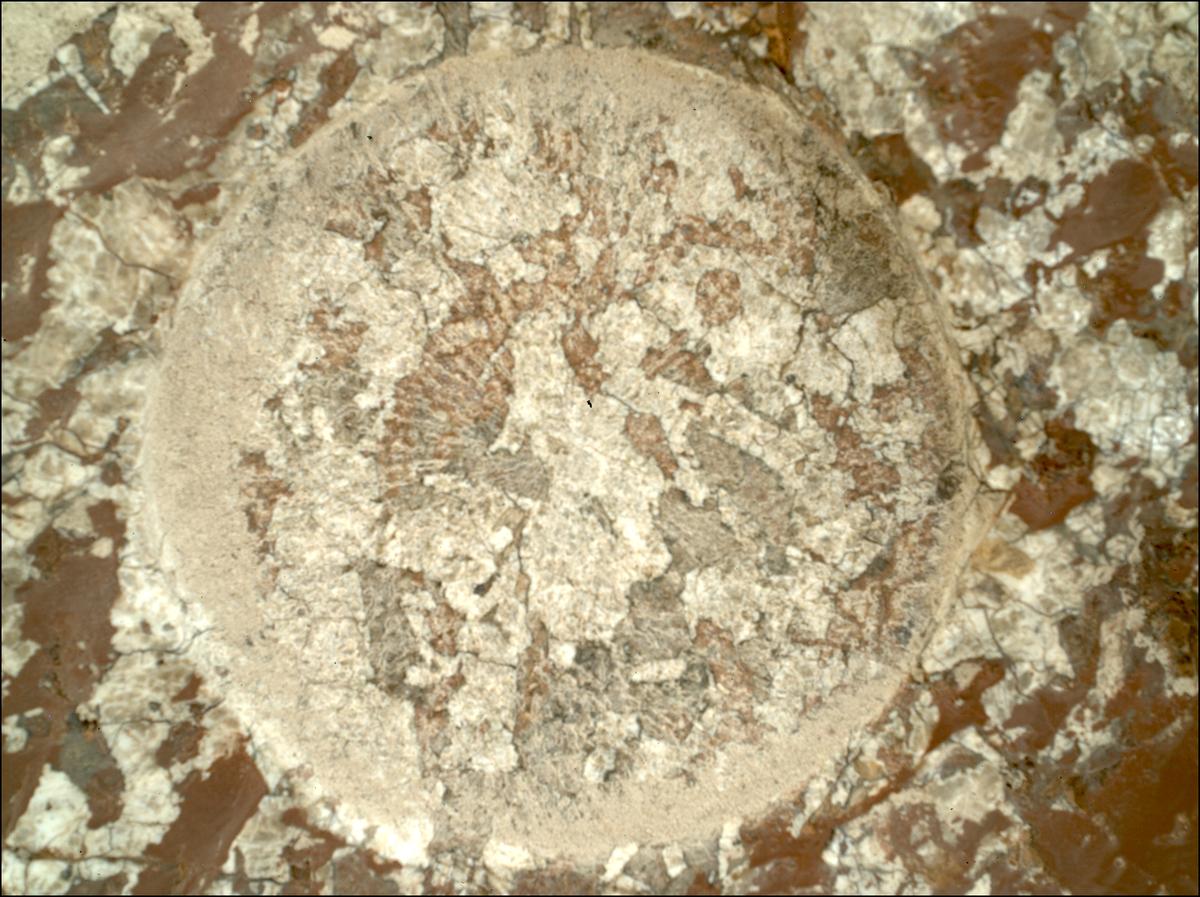 This image was taken by SHERLOC_WATSON onboard NASA's Mars rover Perseverance on Sol 2011